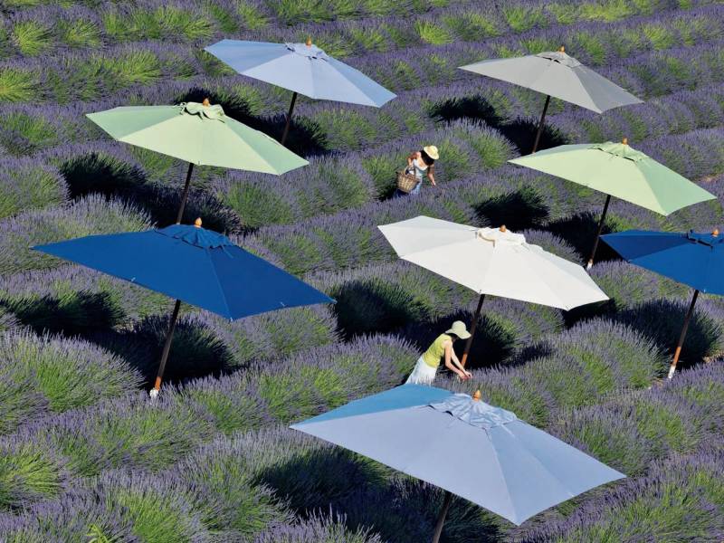 parasols en bois et acrylique haut de gamme, Marseille